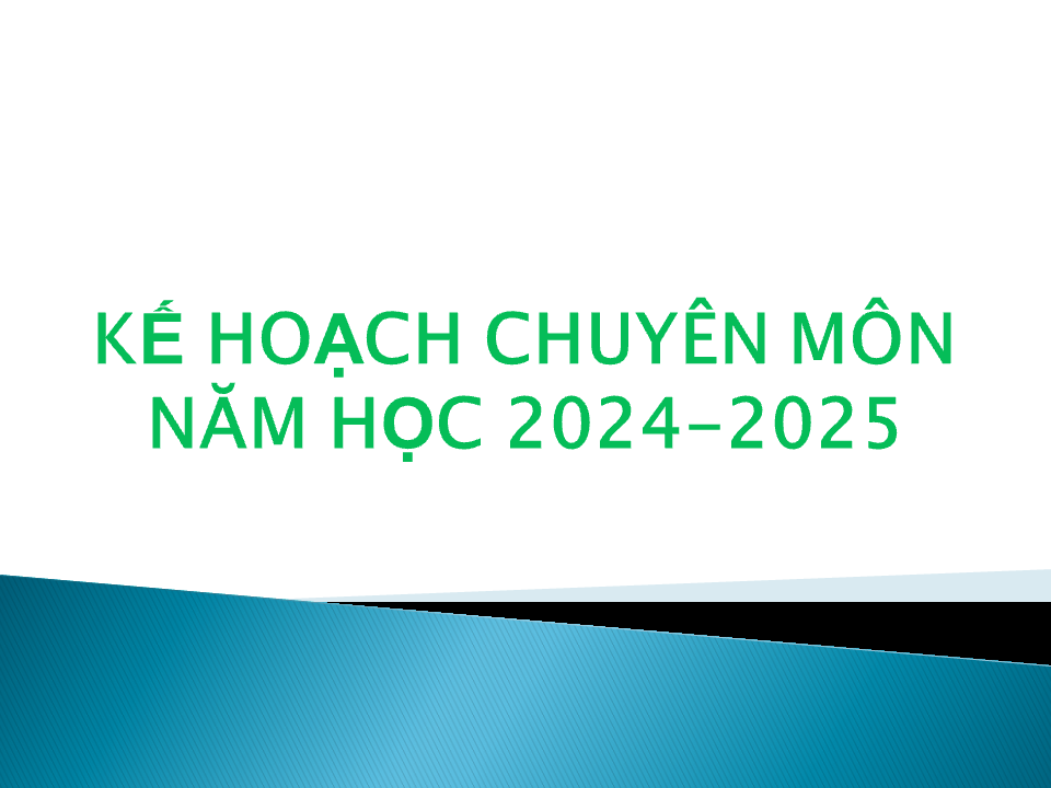 Kế hoạch chuyên môn 2024-2025