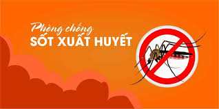 Cao điểm phòng, chống sốt xuất huyết