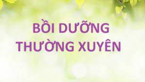 Kế hoạch Bồi dưỡng thường xuyên 2022-2023